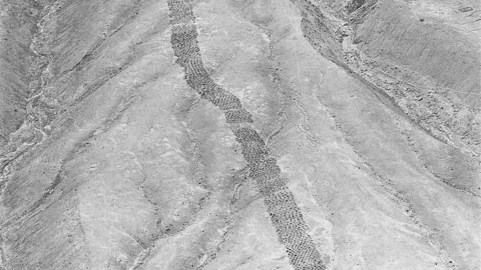 Peru’s Band of Holes: Ancient Trade Secret Revealed